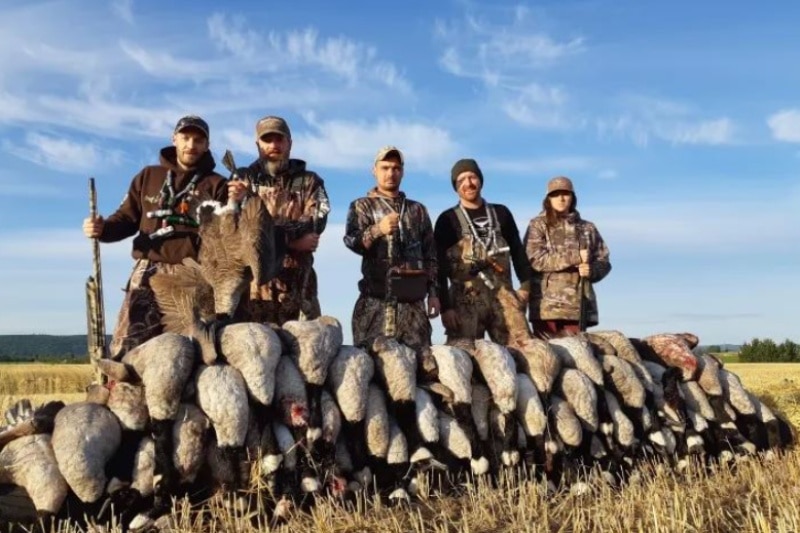 Early Season Fall Hunt Canada Goose - Hunter meets Hunter