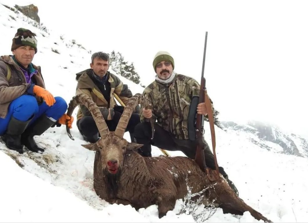 Asian Ibex hunting in Tajikistan - Hunter meets Hunter