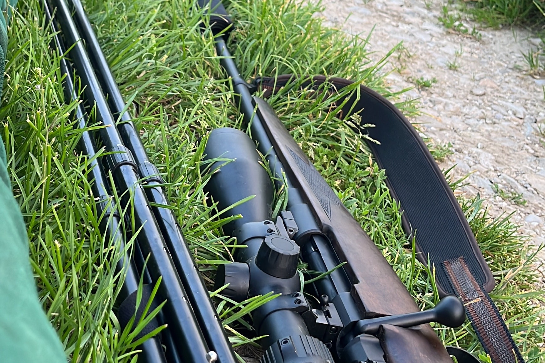 Würde Murmel gegen Feldhase Tauschen