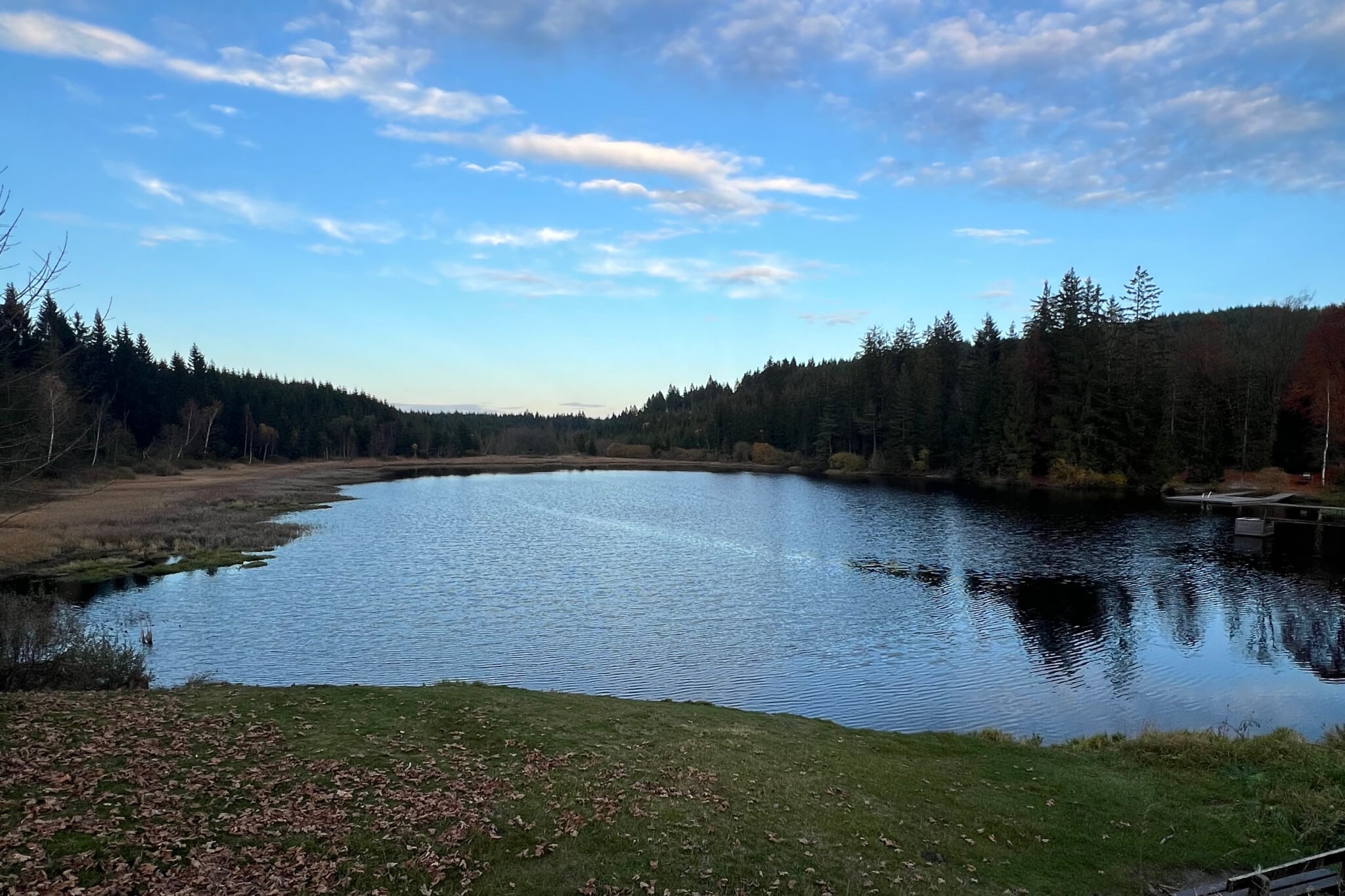 Tausch gegen Haselhahn und Rehwild