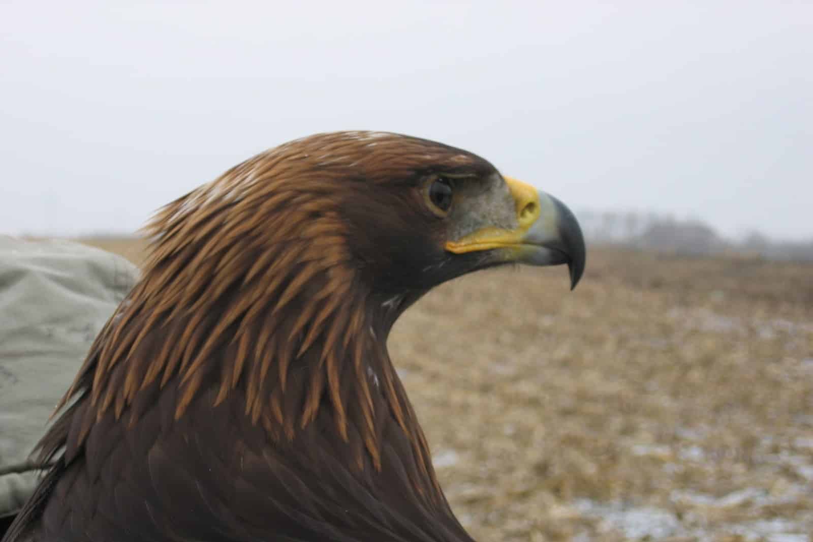 Testangebot 24.Juli 2025